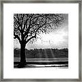 Lwv10007 Framed Print