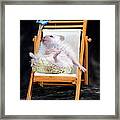 Lyla Sunbathing Framed Print