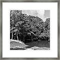 Lynches River Canoe Launch In Summertime Greyscale Framed Print