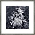 Macro Snowflake Framed Print