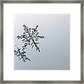 Macro Snowflake Framed Print
