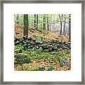 Madame Sherri Forest - Chesterfield New Hampshire Usa Framed Print