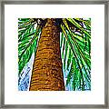 Made In The Shade Framed Print