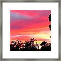 Magenta Sunset Framed Print