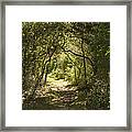 Magic Forest Welcome Framed Print