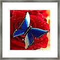 Magic On The Wall Framed Print