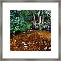 Magic Pond Framed Print