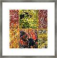Magical Autumn Colors Collage Framed Print