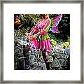 Magical Fairy Framed Print