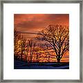 Magnificent Morning Framed Print