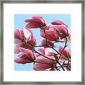 Magnolia Breeze Framed Print