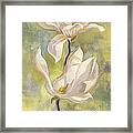 Magnolia In Garden Framed Print