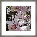 Magnolias In The Shade Framed Print