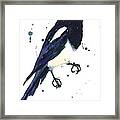 Magpie Painting Framed Print