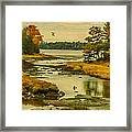 Maine Wetlands Framed Print