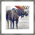 Majestic Moose Framed Print