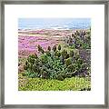 Majestic Shoreline Framed Print