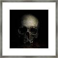 Male Skull Framed Print