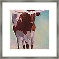 Mama Longhorn Framed Print