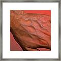 Man's Hand Framed Print