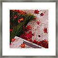 Maple Leaf Fall 3 - The Getty Framed Print