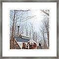 Maple Syrup To Come Framed Print