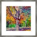 H Maple Tree In Autumn - Horizontal Framed Print