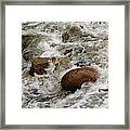 March Waters Framed Print