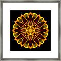 Marigold Flower Mandala Framed Print