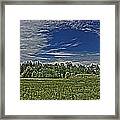 Marred Beauty Flight 93 Framed Print