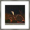 Marsh Bird Sunrise Framed Print