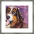 May The Mountain Dog Framed Print