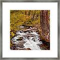 Mcgee Creek Cascade Framed Print