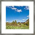 Meadow Of False Hellebore Framed Print