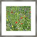 Meadow With Wild Flowers Framed Print
