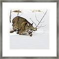 Meander Framed Print