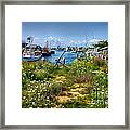 Menemsha Framed Print