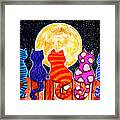 Meowing At Midnight Framed Print