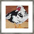Merganser Duck Painted On Cedar Framed Print