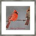 Merry Christmas Cardinals Framed Print