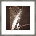 Mervyn Mouse Framed Print