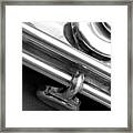 Metallic Framed Print