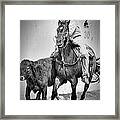 Mexican Cowboy Framed Print