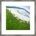 Microscope - Leaf And Bubble 5 Framed Print