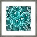 Microscopic View Of Chlamydia Framed Print