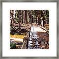 Yosemite Midday Sunlight Framed Print