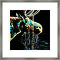 Midnight Moose Drool Framed Print