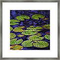 Midnight Pond With Lily Pads Framed Print