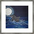 Midnight Swim Framed Print