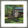 Mill Pond In Woods Framed Print